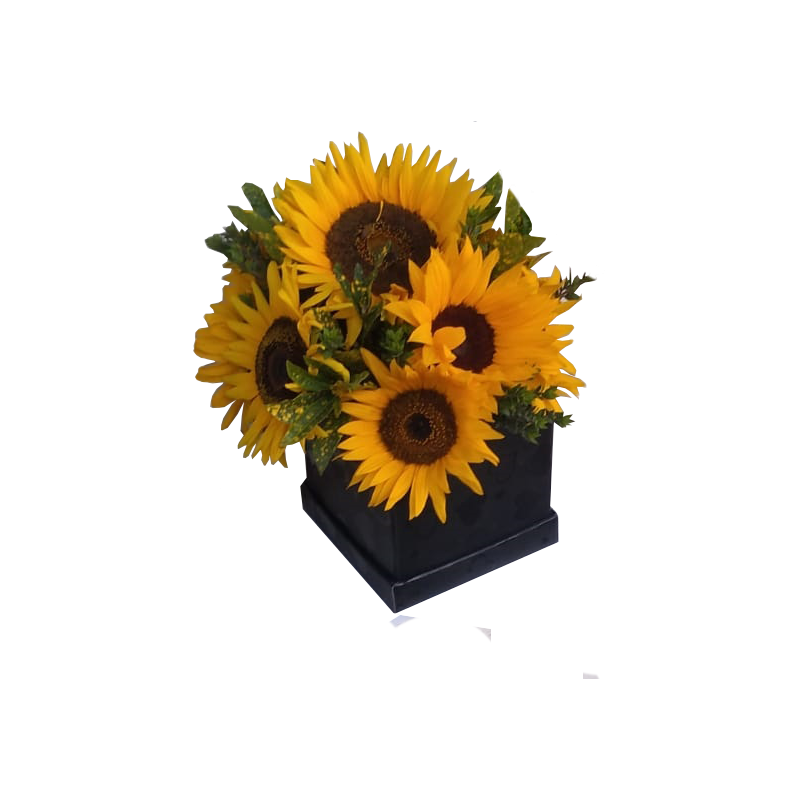 CAJA NEGRA MEDIANA CON GIRASOLES 